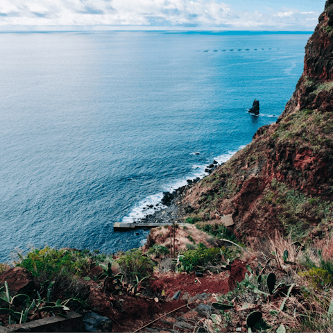 Fall in love with the magical landscapes of Madeira as well as its unique capital city