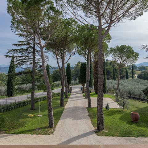 Feel at peace amongst leafy trees and lush olive groves