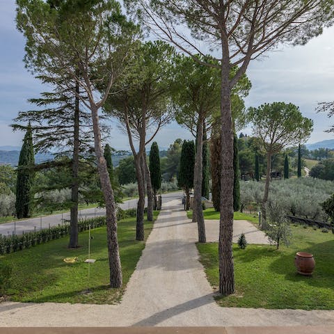 Feel at peace amongst leafy trees and lush olive groves
