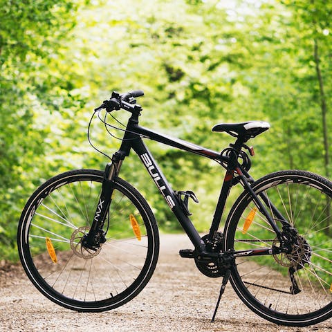 Grab your bike and cycle around Minsmere Nature Reserve