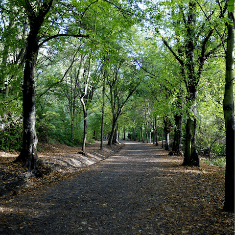Walk along the dreamy greenery of Hampstead Heath