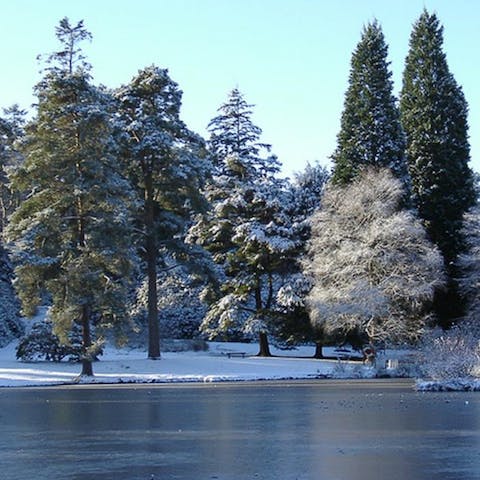 Stroll around nearby Bedgebury Pinetum