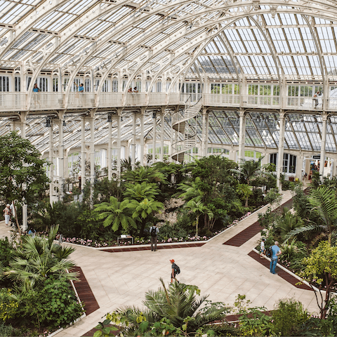 Wander through the vast gardens and greenhouses at Royal Botanic Gardens, Kew – it's a ten-minute walk away