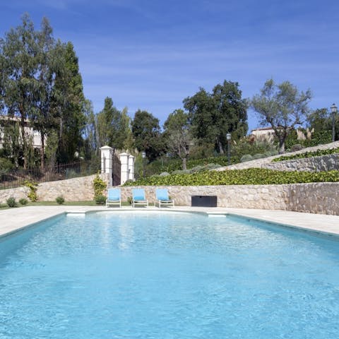 Swim laps in the huge swimming pool surrounded by trees