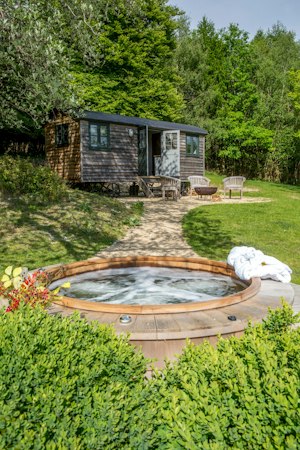 The Secret in the Chilterns image 12