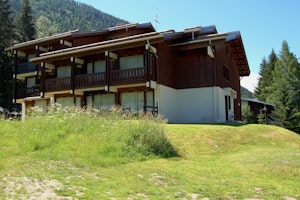 The Golden Mountain image 7