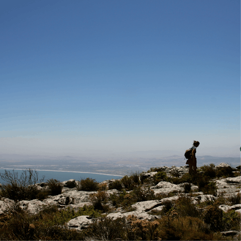 Challenge yourself to a hike along the Lion's Head