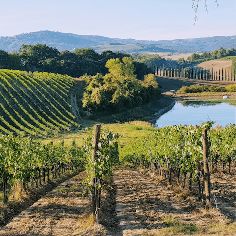Take a tour of the Chianti vineyards of Tuscany
