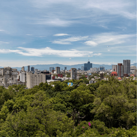 Explore the wonders of Mexico City just outside your door  