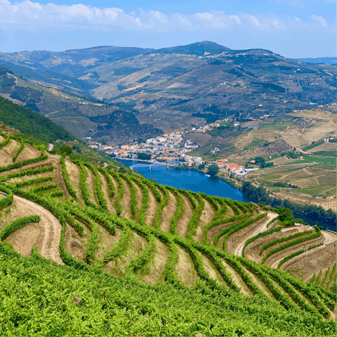 Cruise upriver into the Douro Valley, stopping off for olive oil and wine tastings