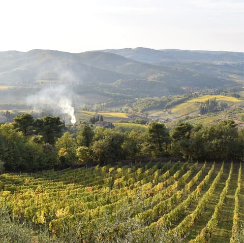 Explore Puglia's gorgeous countryside, right on your doorstep