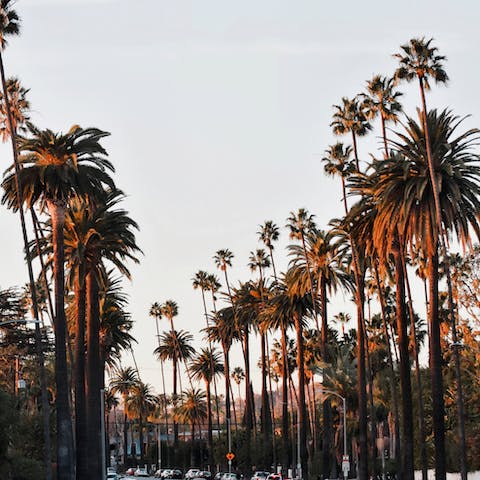 Spend time in the famed Beverly Hills, fifteen minutes away by car