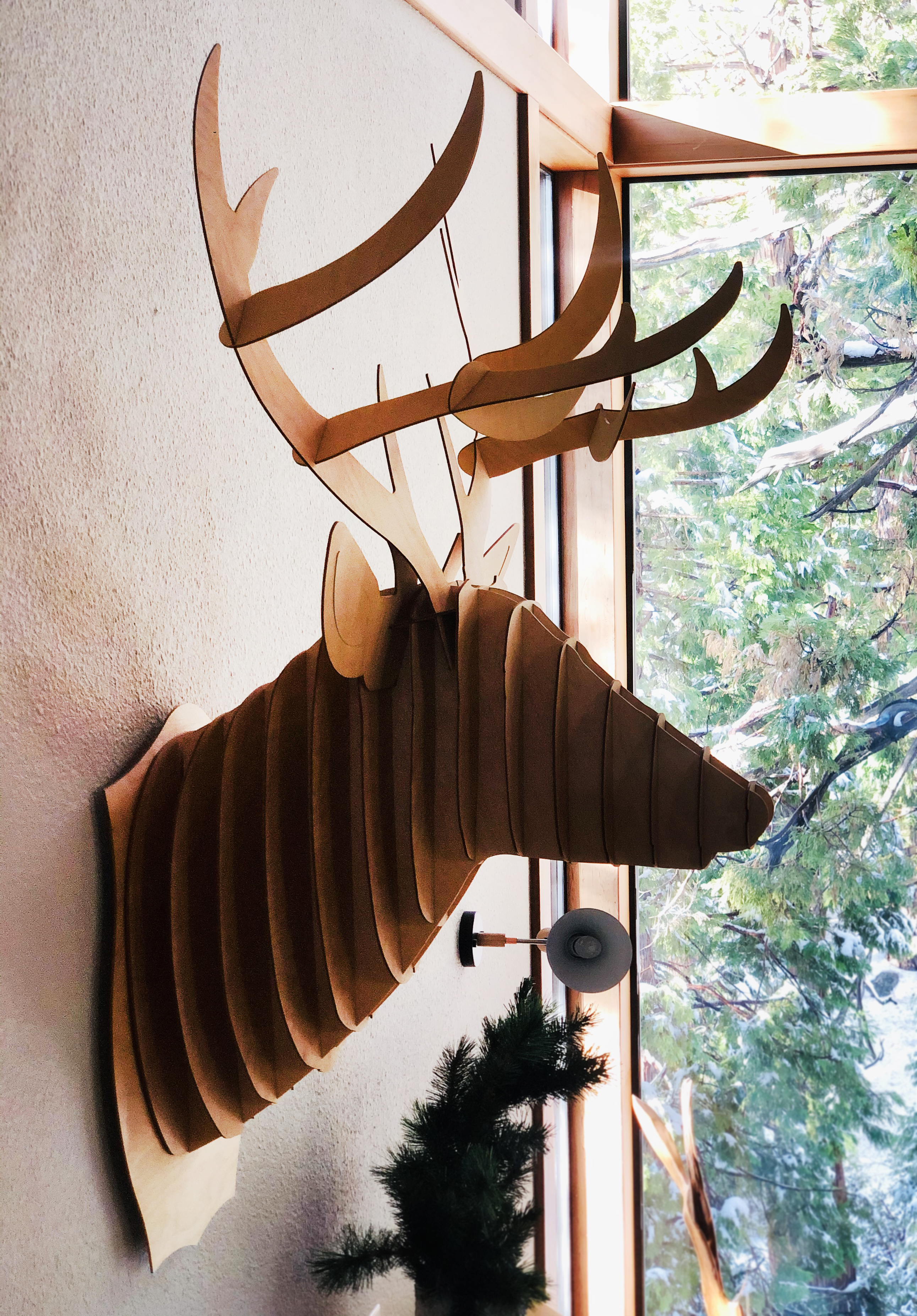 Shadows And Tall Trees California, United States Venue Report