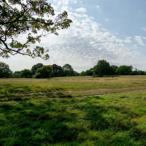Make your way to Hampstead Heath, not far on foot