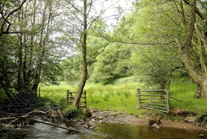 Serenity in the Black Mountains image 7