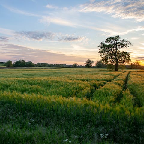 Explore Oxfordshire from the village of Bicester