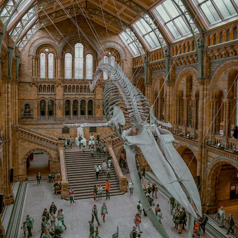Walk through Kensington Gardens to the Natural History Museum in twenty-five minutes