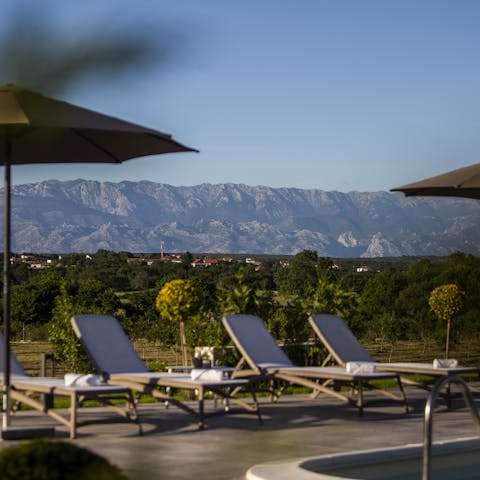 Gaze across the countryside to the impressive peaks of the Velebit mountain range