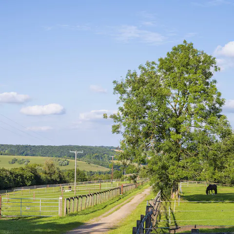 Don your walking shoes and head out on an afternoon ramble through the countryside