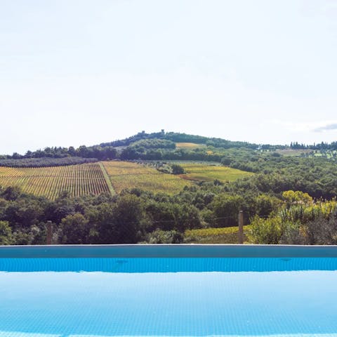 Relish the stunning views of the Chianti vineyards from the pool 