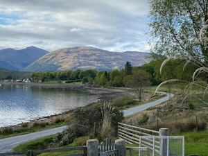 The Lake Life image 13
