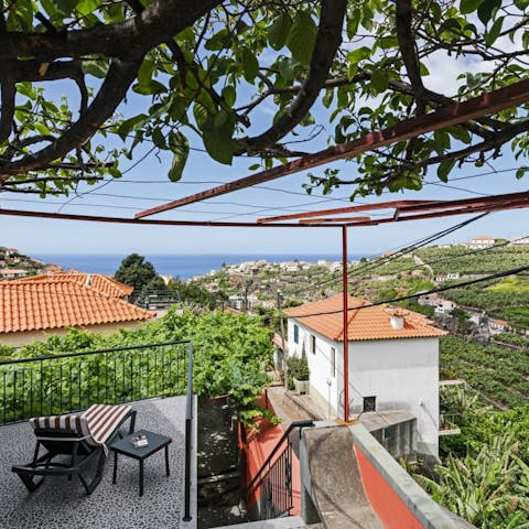 Lie back on your sun lounger and enjoy sea and vineyard views