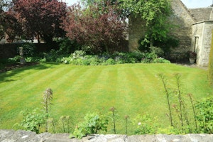 Geranium & Oak image 5