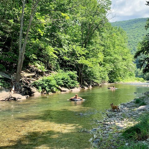 Drift down the river and spot some local wildlife