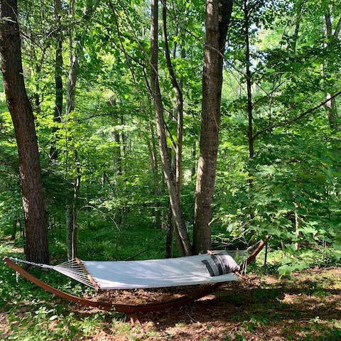 Swing in the hammock amidst the vast private forest land 