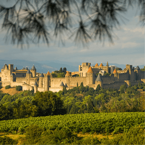 Seek to discover the past in Carcassonne, an hour drive away