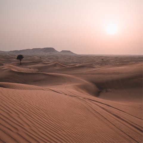 Get a true look at Dubai when you stay on the edge of the desert