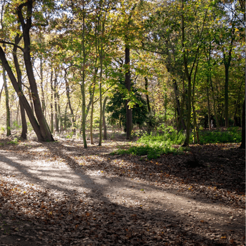 Rent bikes and explore nearby Bois de Boulogne