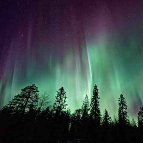 Catch a glimpse of the aurora borealis from Riisitunturi National Park in Posio