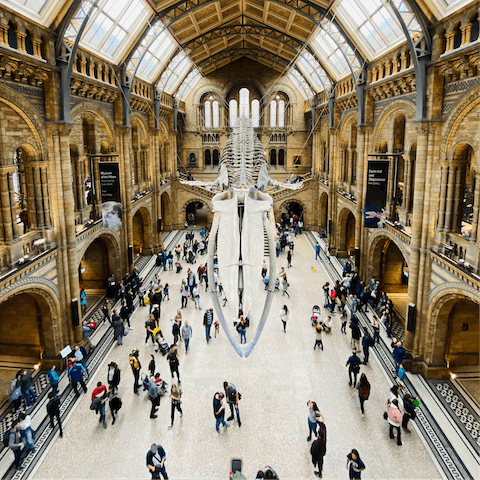 Spend hours wandering through the exhibits on display at the Natural History Museum and V&A – both are just around the corner from your home