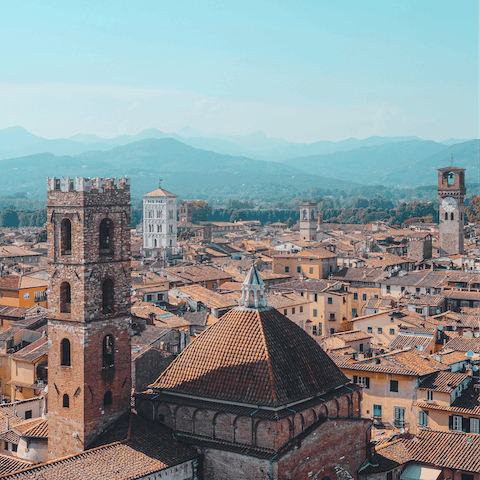 Hop in the car and take the short fifteen-minute drive to the Walled City of Lucca
