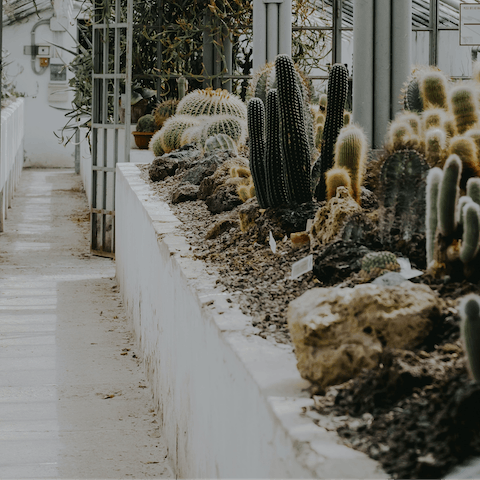 Spend a soothing morning strolling around Orto Botanico di Roma – it's just five minutes away on foot