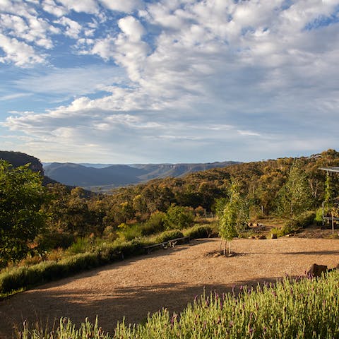 Stay in the heart of the NSW bush with a view of the Blue Mountains