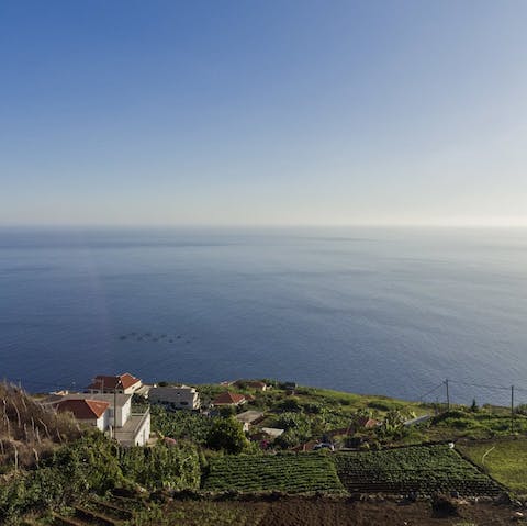 Stay on Madeira's west coast, the sunniest spot on the island
