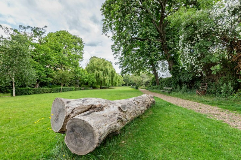 Warm Oak additional image