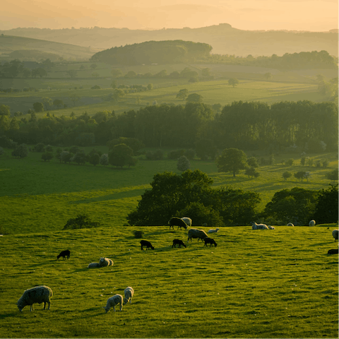 Enjoy a picnic in the Kent Downs Area of Natural Beauty, right on your doorstep