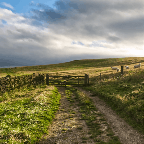 Don your walking shoes and explore the trails through the North York Moors National Park