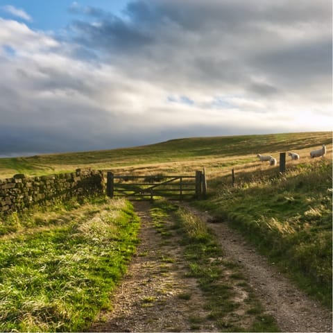 Don your walking shoes and explore the trails through the North York Moors National Park
