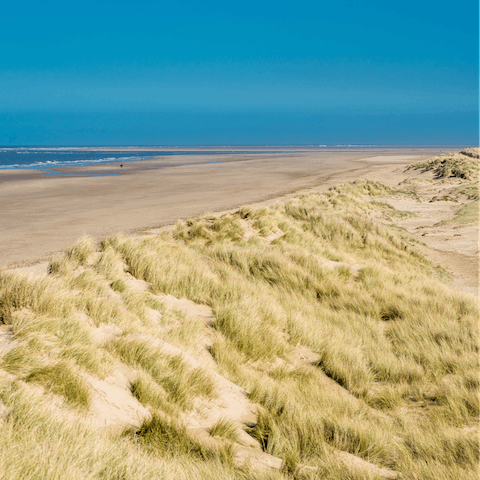 Reach the Norfolk coast in less than half an hour – here, spend time ambling along the area's sandy beaches and climbing the dunes