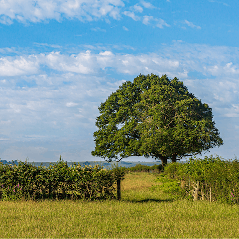 Explore the countryside around north Norfolk, as you'll find many trails to follow near this home