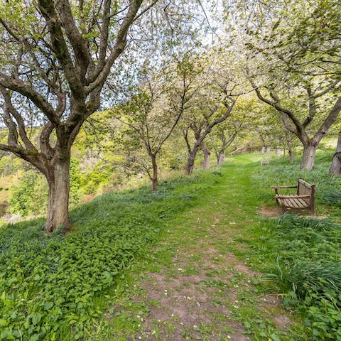 Explore the verdant forestry around the castle