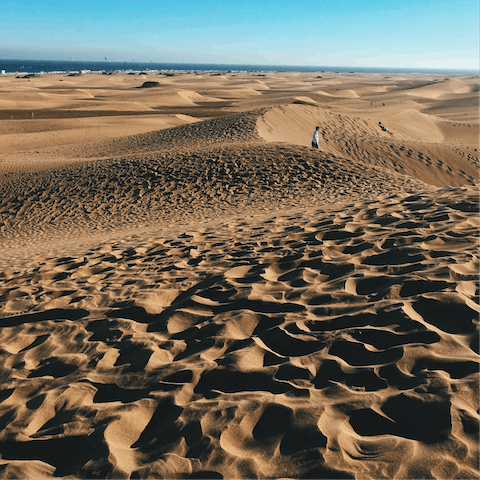 Discover the dunes of Maspalomas nearby