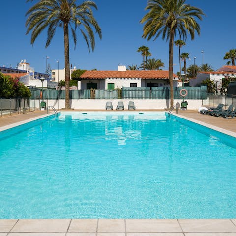 Swim some lengths in the communal pool flanked by palm trees