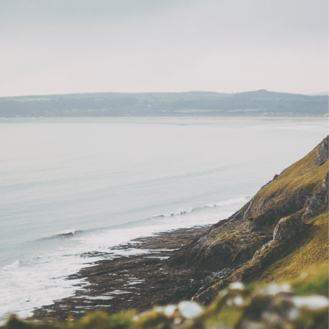 Go for a walk on one of the Gower's stunning beaches nearby