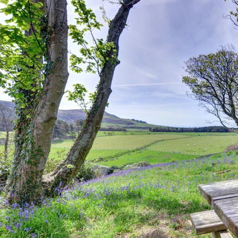 Tiptoe through the bluebells in the extensive grounds