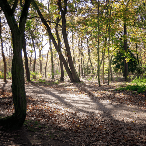Go for a stroll in the nearby Bois de Boulogne